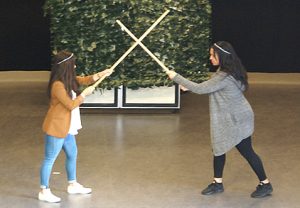 Szene der Theateraufführung_Juli-2016